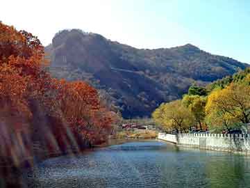 新澳天天开奖资料大全旅游团，快乐大本营飞儿乐队